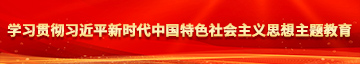 操Bxx网站学习贯彻习近平新时代中国特色社会主义思想主题教育